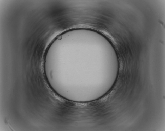 X0000091651278200708231002