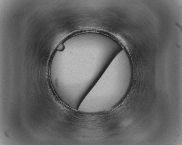 X0000091651279200708231002