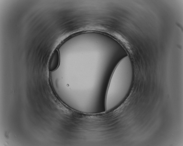 X0000091651280200708231002