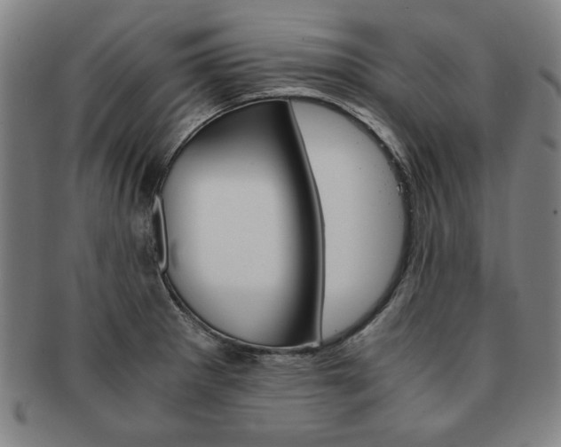 X0000091651281200708231002