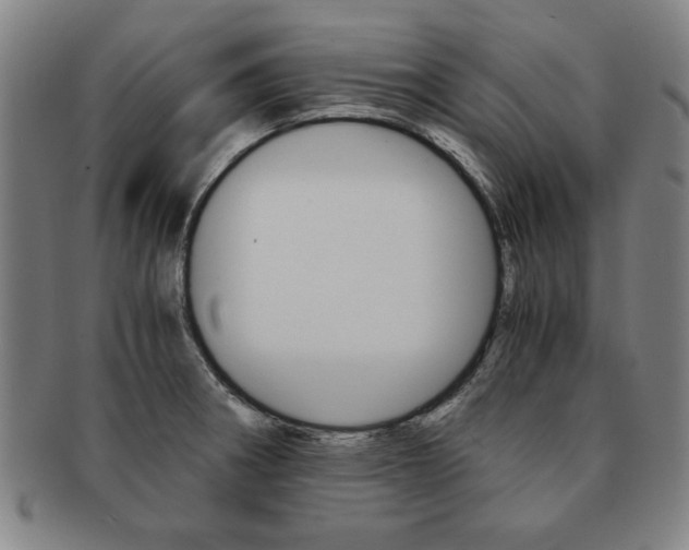 X0000091651282200708231002
