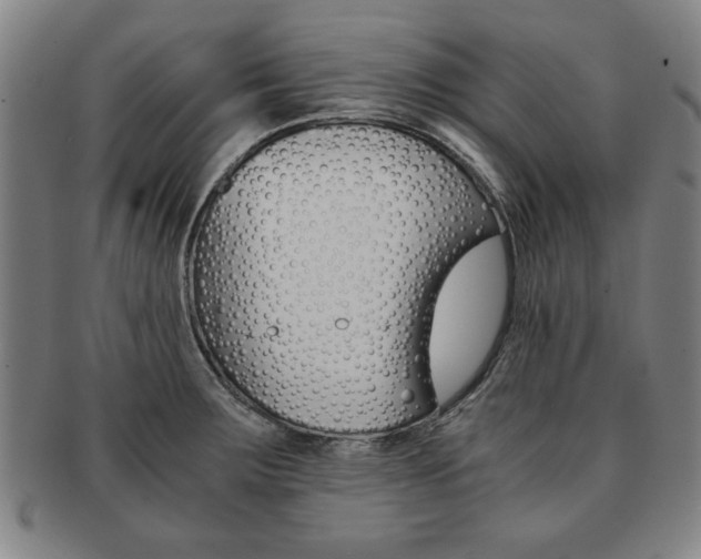 X0000091651283200708231002