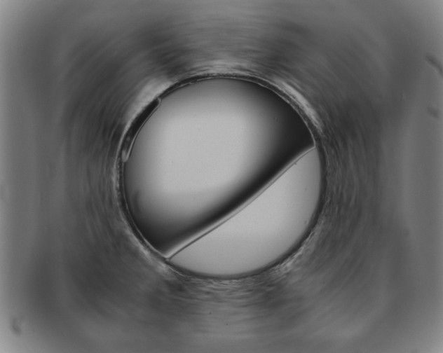 X0000091651285200708231002