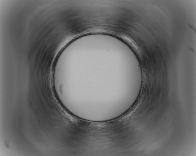 X0000091651286200708231002