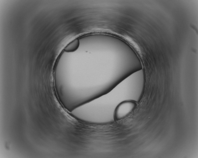 X0000091651287200708231002