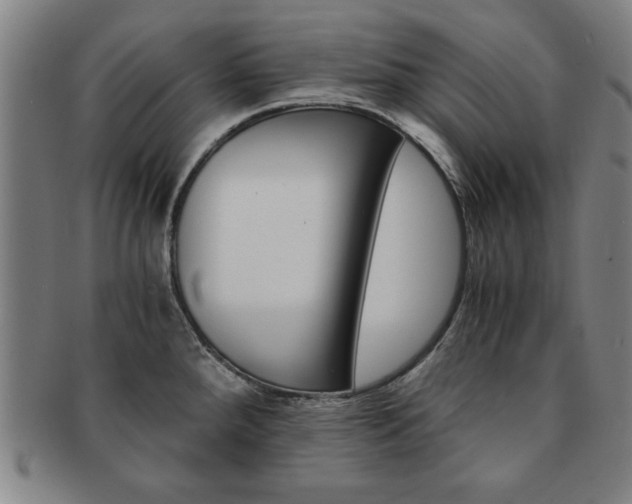 X0000091651288200708231002