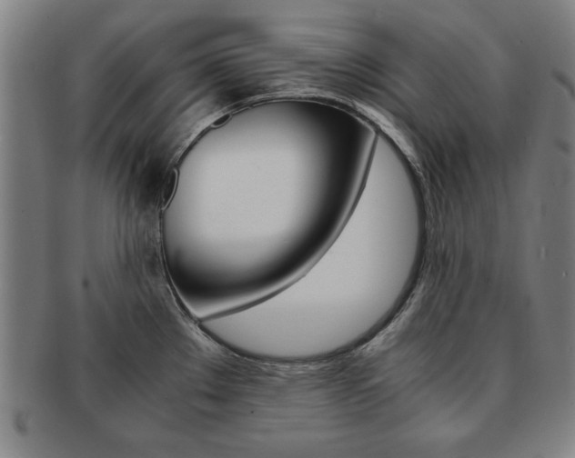X0000091651289200708231002