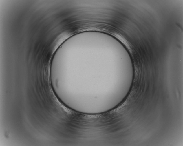 X0000091651290200708231002