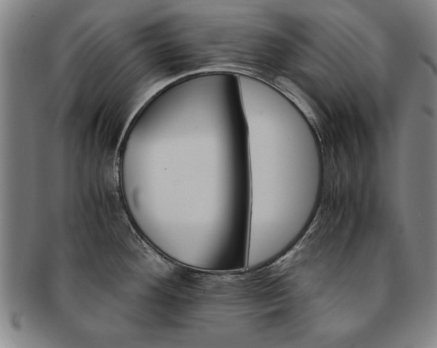 X0000091651292200708231002