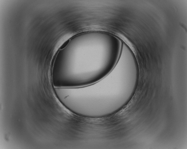 X0000091651293200708231002