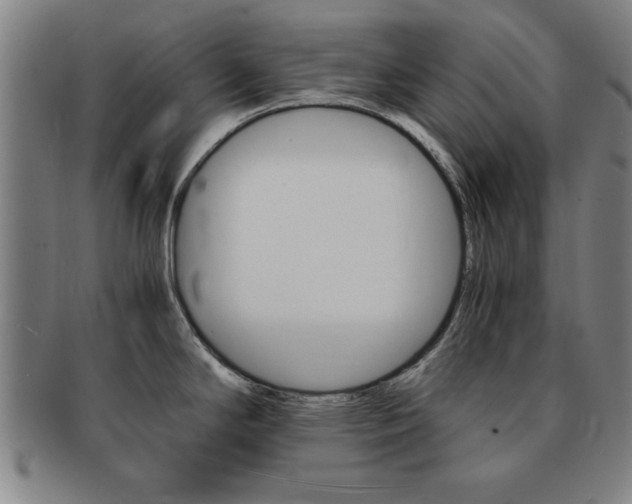X0000091651294200708231002