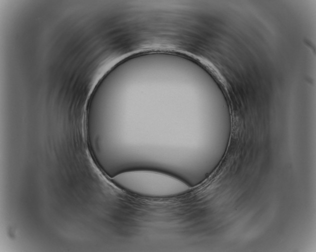 X0000091651295200708231002