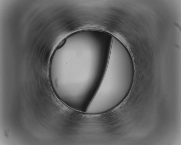 X0000091651296200708231002