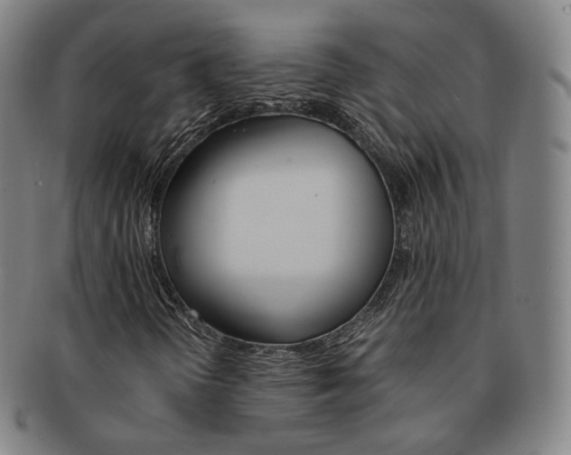 X0000091651298200708231001