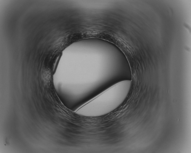 X0000091651299200708231001