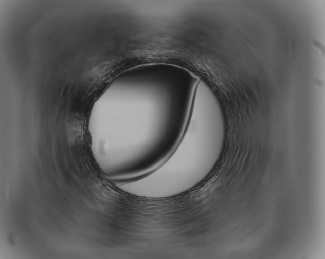 X0000091651300200708231001
