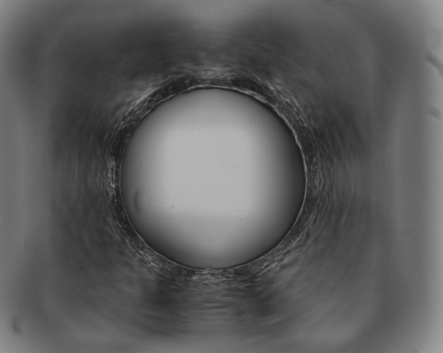 X0000091651301200708231001