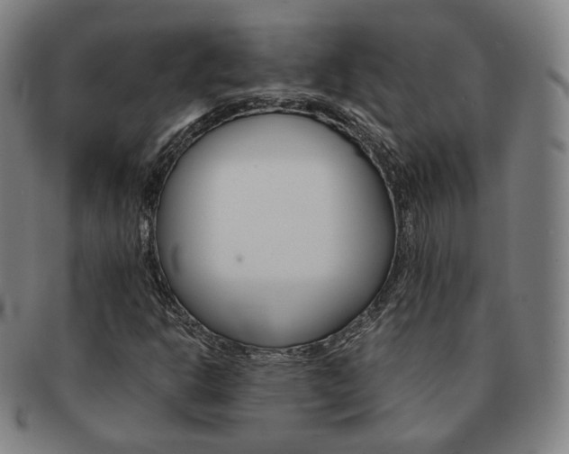 X0000091651302200708231001