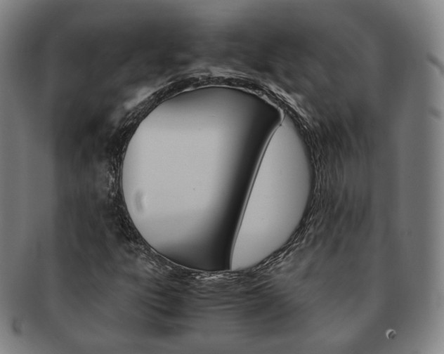 X0000091651303200708231001