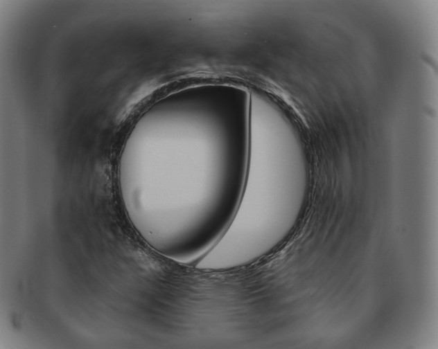 X0000091651304200708231001