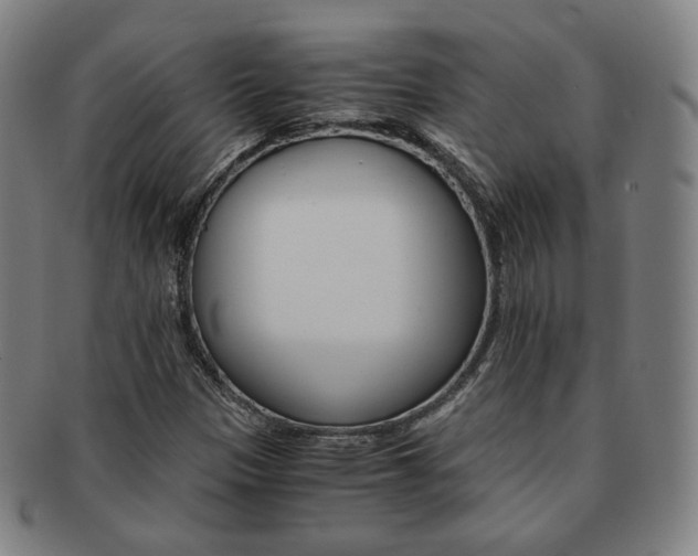 X0000091651305200708231001