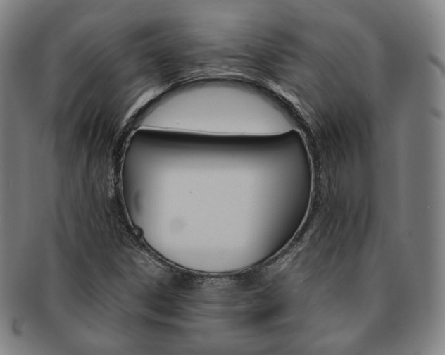 X0000091651306200708231001