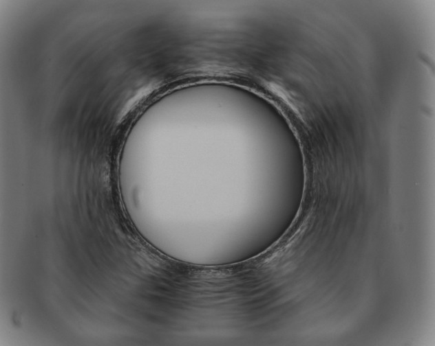 X0000091651307200708231001