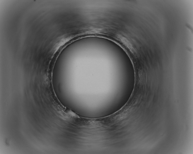 X0000091651308200708231001