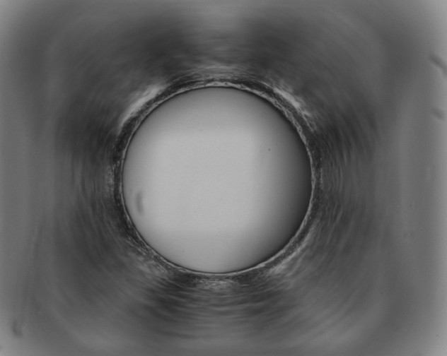X0000091651309200708231001