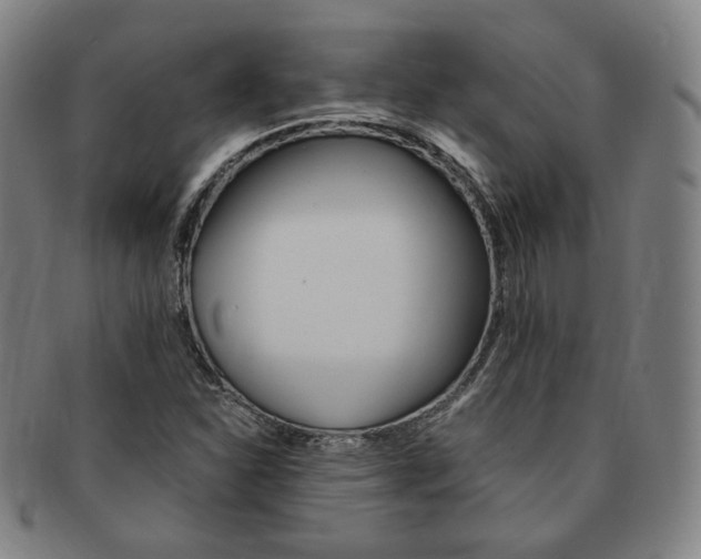 X0000091651310200708231001