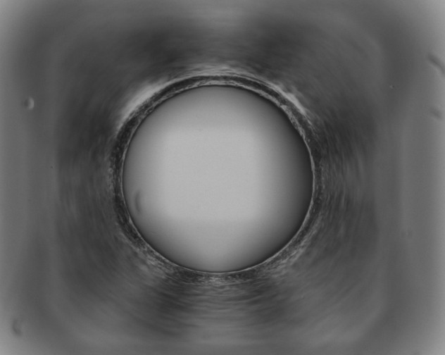 X0000091651311200708231001