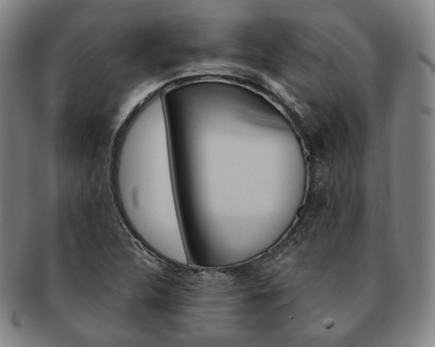 X0000091651312200708231001