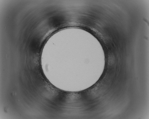 X0000091651314200708231001