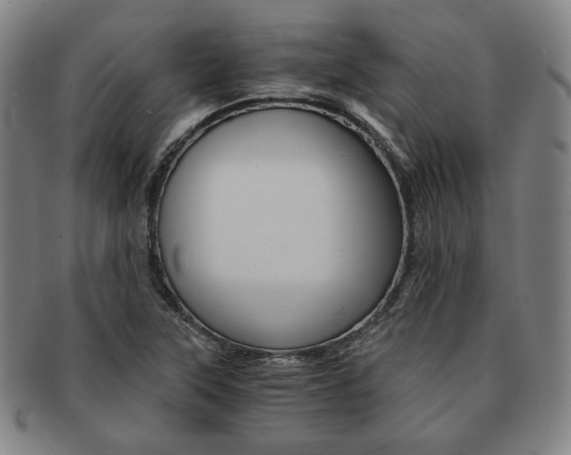 X0000091651315200708231001