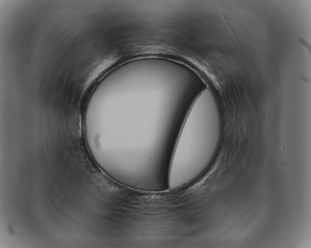 X0000091651317200708231001