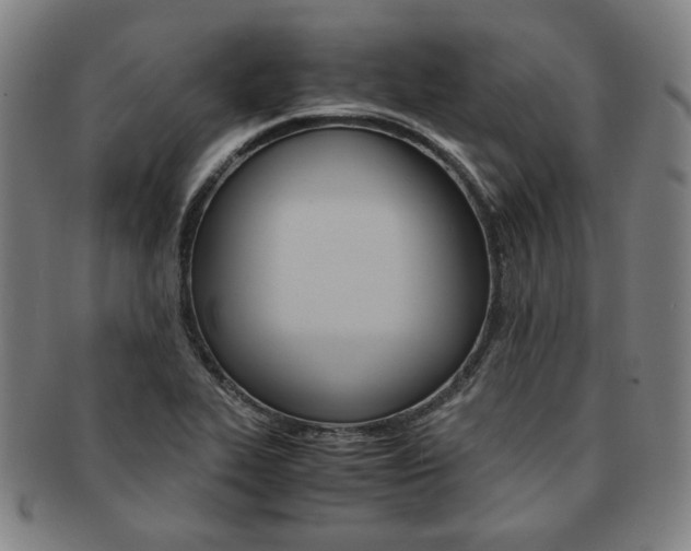 X0000091651319200708231001