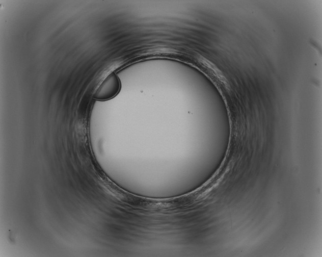 X0000091651321200708231001