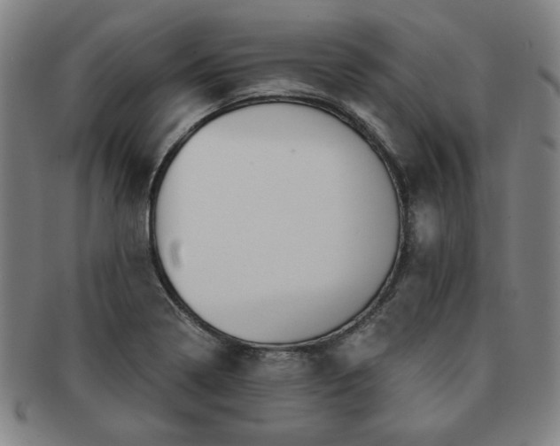 X0000091651322200708231001