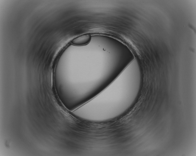 X0000091651323200708231001