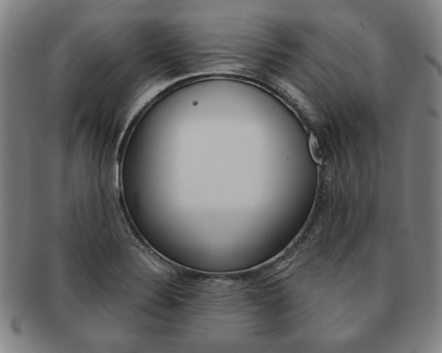 X0000091651324200708231002