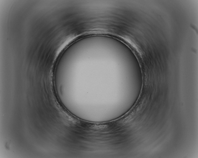 X0000091651325200708231002