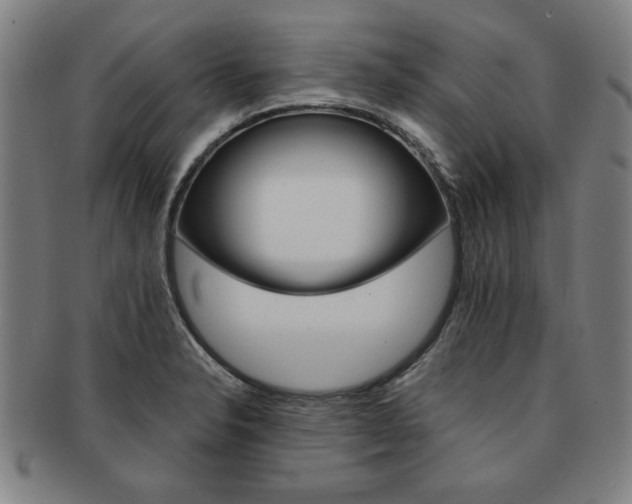 X0000091651326200708231002