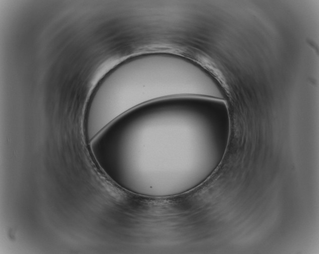 X0000091651328200708231002