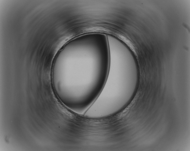 X0000091651330200708231002
