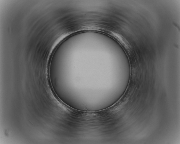 X0000091651331200708231002