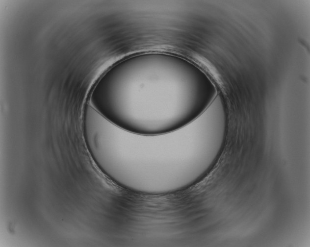 X0000091651332200708231002