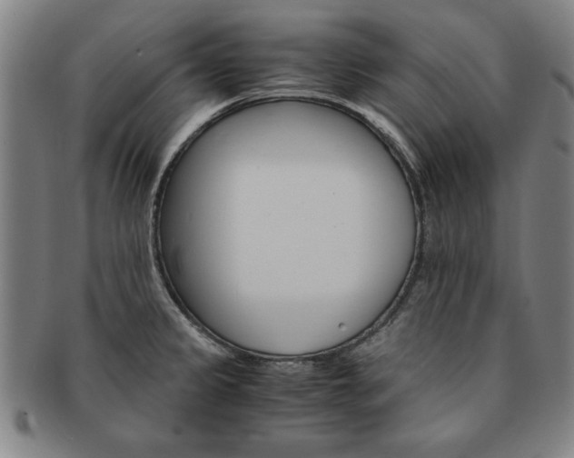 X0000091651333200708231002