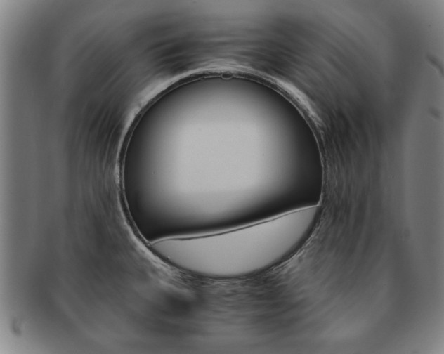 X0000091651335200708231002