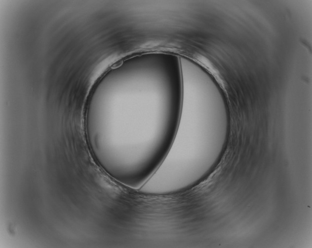X0000091651336200708231002