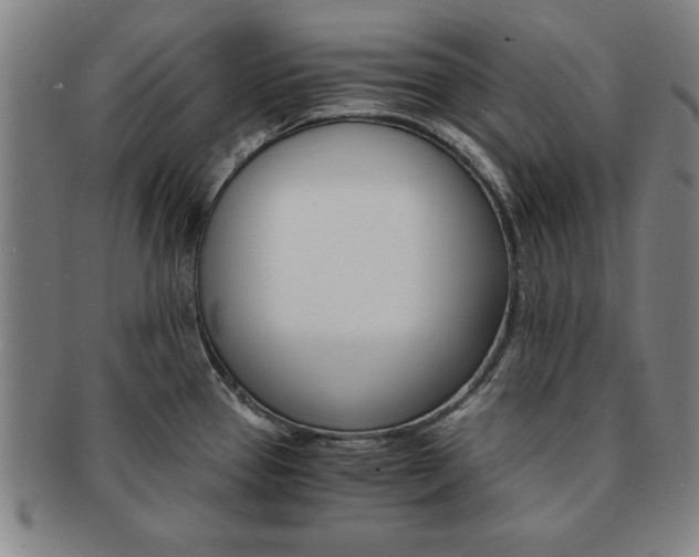 X0000091651337200708231002